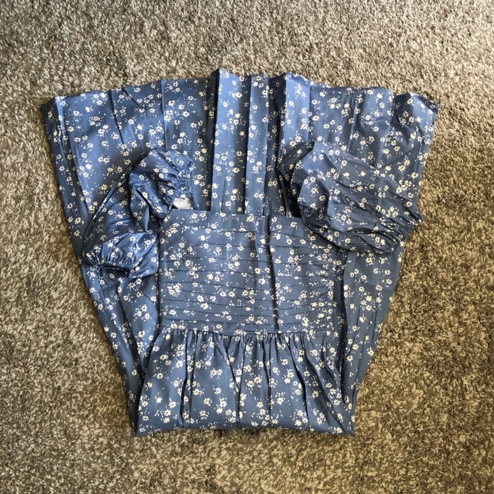Reformation Rachelle Blue Floral Dress - Picture 8 of 11